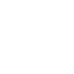 Surface Solutions-US